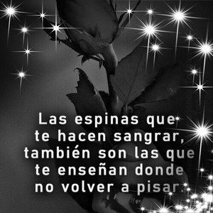 Meet your Posher, Sonia b